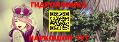 ГАЛЛЮЦИНОГЕННЫЕ ГРИБЫ Краснодар