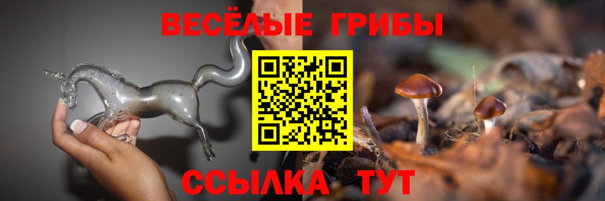 Псилоцибиновые грибы мицелий  наркотики  Заволжье  Вход с VPN 